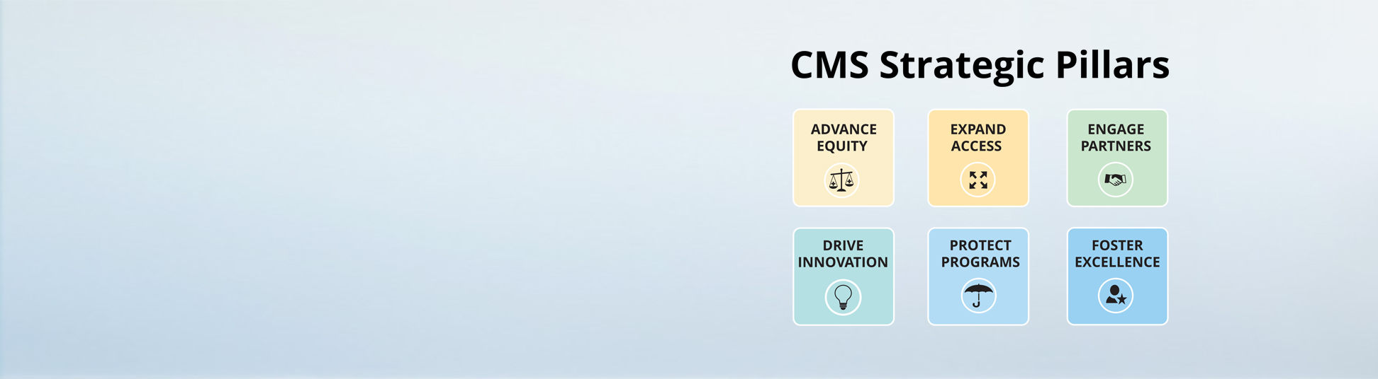 CMS strategic plan