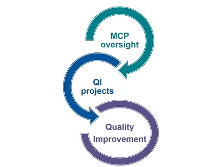 Managed Care Quality Improvement QI Projects Image
