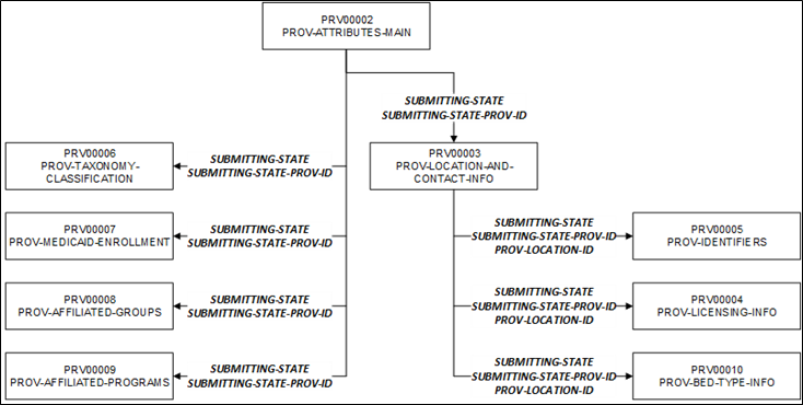 Provider File – Provider Record Segment Relationships